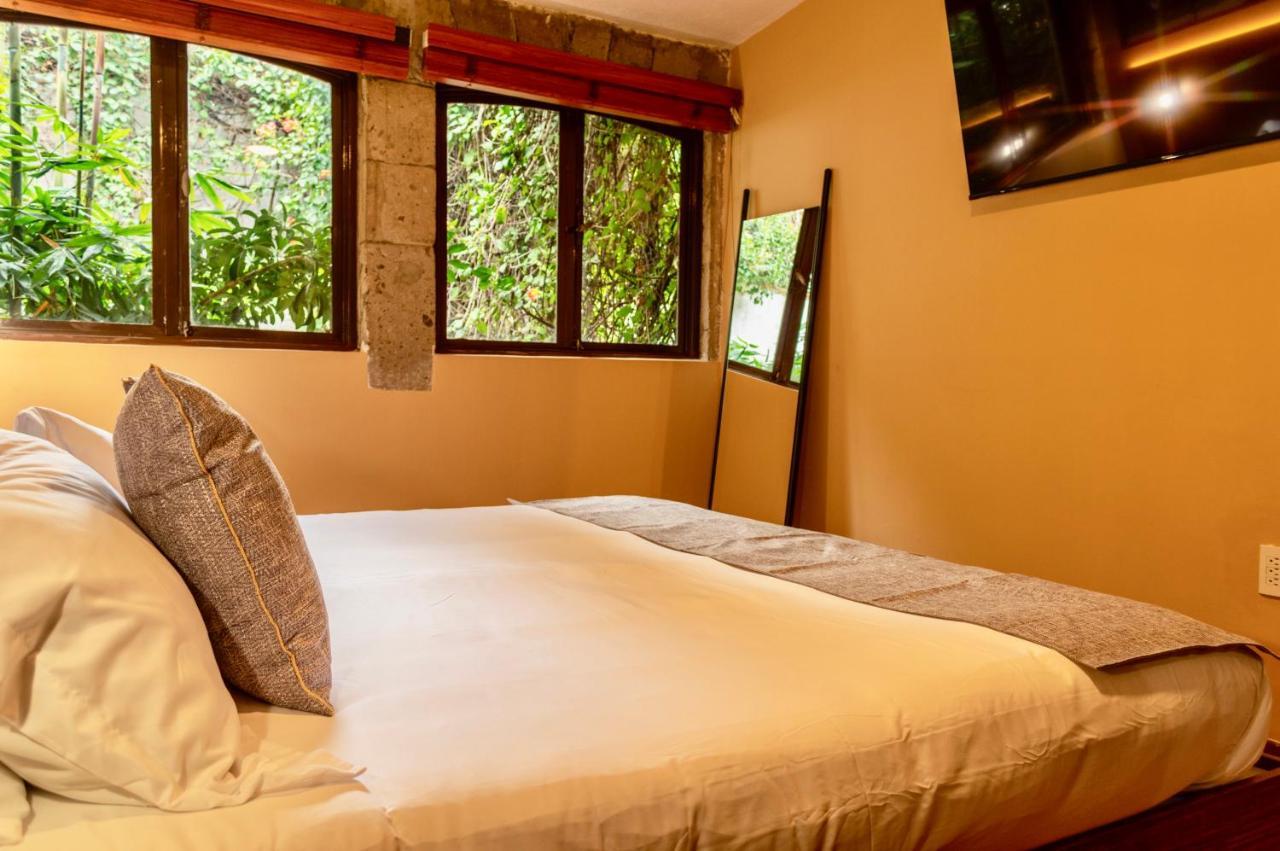 Mi Zona Lodging Coyoacan Mexico City Luaran gambar