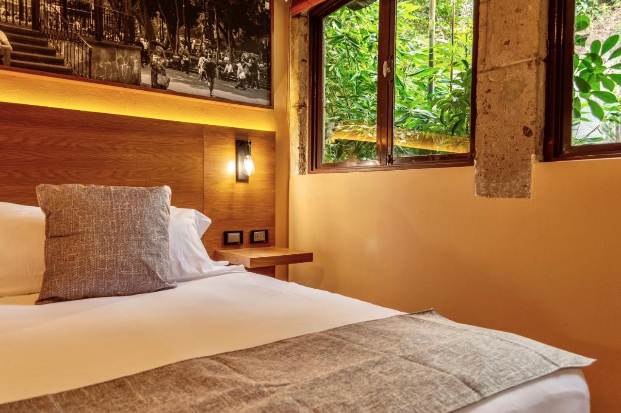 Mi Zona Lodging Coyoacan Mexico City Luaran gambar
